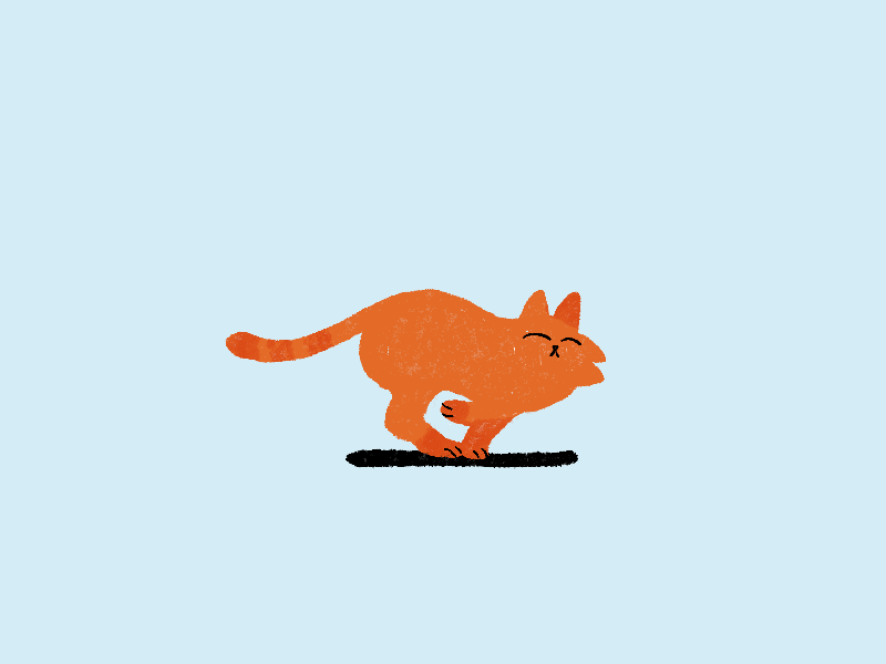 Run Kitty animal animation art cat character design digital graphic illustration ipad kitty pet procreate run cycle