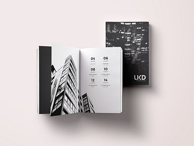 LKD Development Group booklet design estate graphic minimal modern monochrome print publication real simple