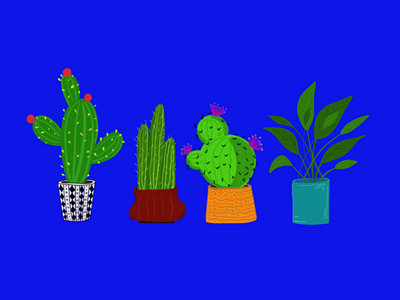 Plant pots cactus illustration plants