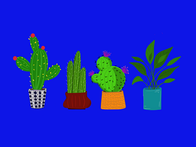 Plant pots