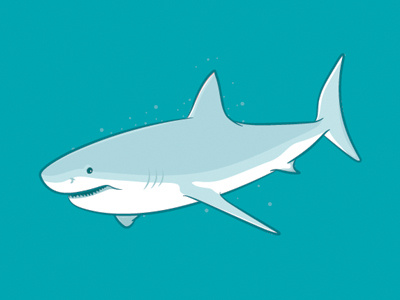 Shark! drawing graphic illustration shark