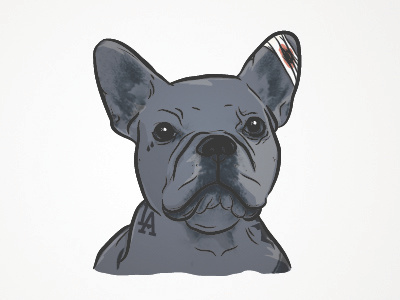 Dog Dribbble bulldog dog gangster graphic illustration