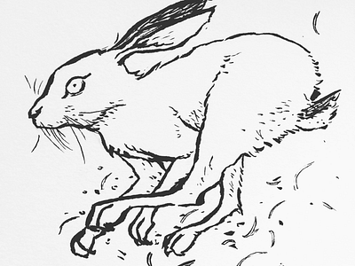 Swift animals hare illustration ink inktober line art monochrome