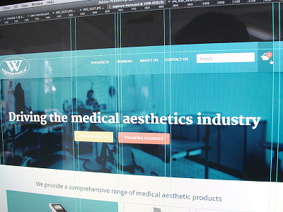 Medical website design grid web design