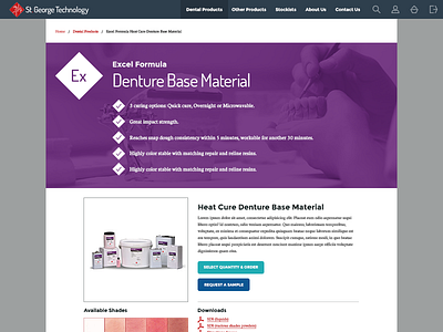 Denture Plastics Single Page denture ui web design