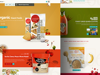 Naturalchef basket brand color food icon logo organic web