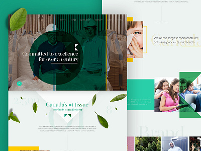 Landing Page brand branding color landing logo page responsive web