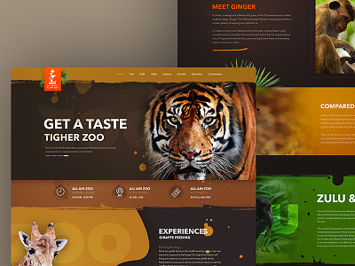 Zoo animal color desing dubai logo responsive web zoo