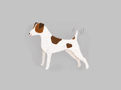 jack russel terrier animal book book illustration character dog illustration jack russel terrier