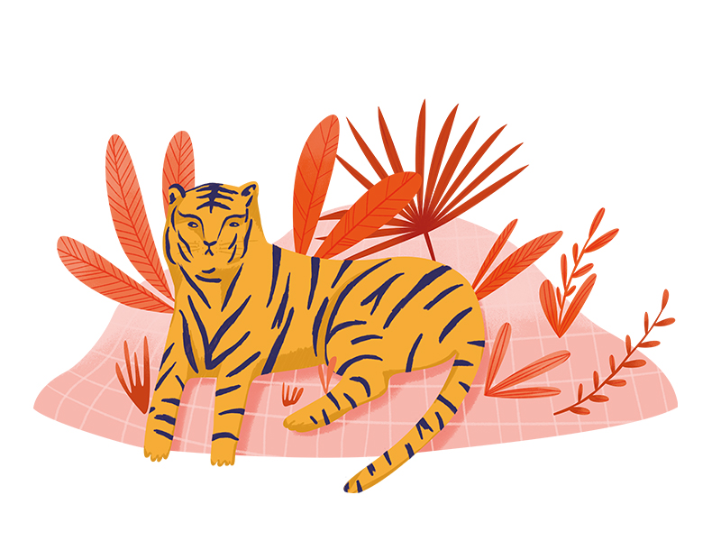 hello tiger! by Martyna Wilner on Dribbble