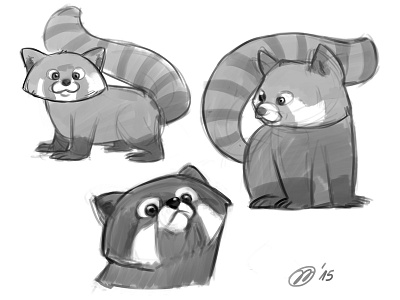 Red Panda sketches animals character cute drawings panda red panda sketch