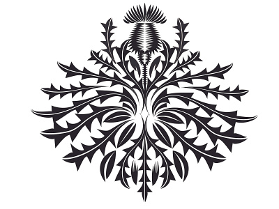 Thistle_02_23_2020 adobe illustrator black and white floral graphic plants qcassetti thistle vector