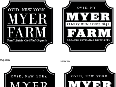 typographic exploration black and white bodoni farm requiem saracen type