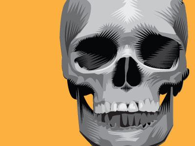 Skull black and white halloween human image skull vector