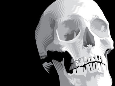 Skull adobe illustrator american ithaca black and white graphic halloween historic man portrait qcassetti skull us vector