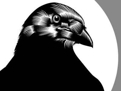Crow adobe illustrator american ithaca bird black black and white crow graphic halloween man portrait qcassetti skull vector