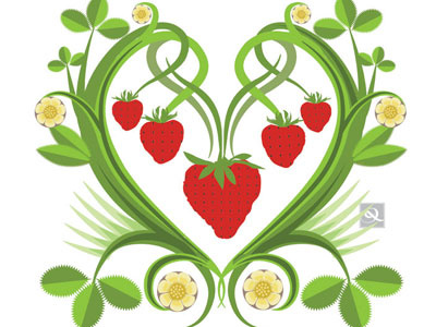Strawberries adobe illustrator adobeillustrator decorative fruit illustrator qcassetti vector