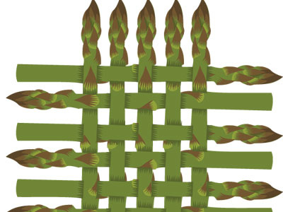 Asparagus adobe illustrator decorative illustration qcassetti vector vegetable