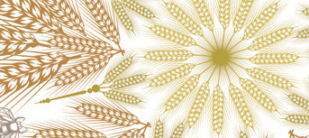 Wheat wreaths adobeillustrator qcassetti vector wheat wreath