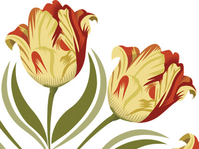 Tulip Wreath adobeillustrator color flat nature qcassetti spring tulip vector wreath
