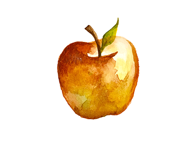 Apple apple food fruit illustration watercolor