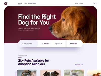 Pet Adoption Website by Rafayel Hasan for SyncRows on Dribbble