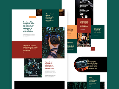 Snap - Photography guide colored design illustration landing page ui ux web web design