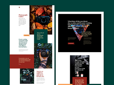 Snap - Photography guide design landing page ui ux web web design