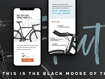 One shot before the weekend android apple bicycle cart creativity e commerce ios mobile responsive ui ux web