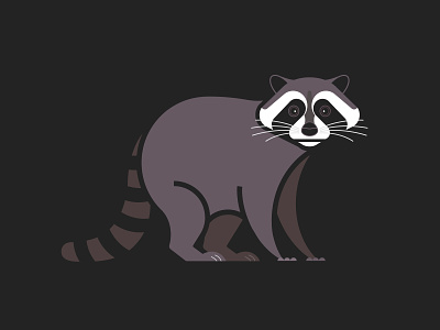 Trash Panda <3 animal animal art geometric animal geometric art geometric illustration illustration raccoon raccoons rubbish burglar trash panda vector