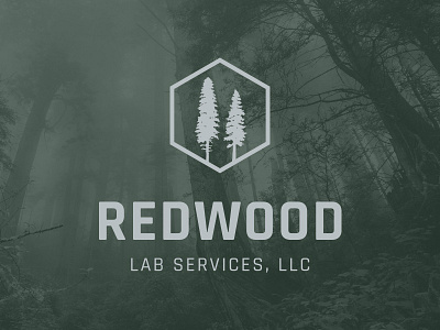 Redwood Labs Logo branding earthy lab services logo logo design redwood trees