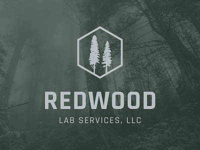 Redwood Labs Logo