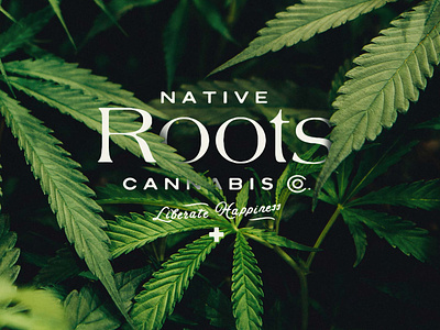 Native Roots — Unused Direction Pt. 2 branding cannabis cannabis branding first aid flower health lettering liberate happiness logo logotype marjuana native native roots roots typography vector weed weed branding weed company wellness