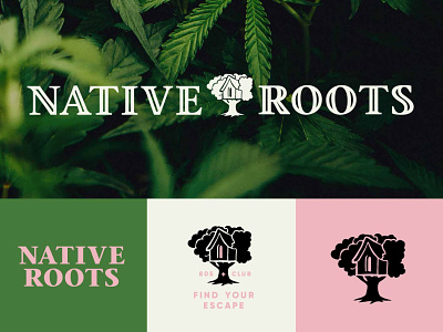 Native Roots Cannabis Company Branding Concept — Unused branding cannabis cannabis branding dispensary dispensary branding dispensary logo escape hand lettering high illustration leaves logo logotype marijuana native native roots treehouse typography vector weed