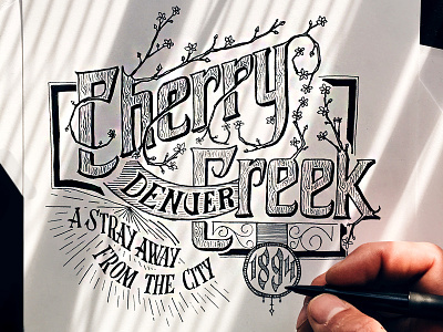 Cherry Creek Sketch cherry creek cherry tree denver illustration lettering sanborn sanborn map sketch typography vintage