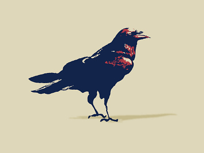 Raven bird bird illustration crow fly illustration minimal illustration raven three color wild