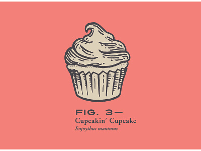 Bake Shop Illustrations (pt. 2) branding cupcake dessert icon illustration lithograph scientific illustration