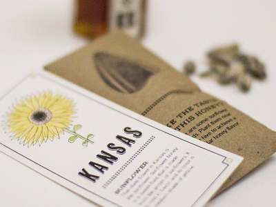 PACKAGE ILLUSTRATION honey illustration packaging seeds sunflower