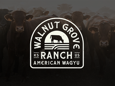 Walnut Grove Ranch Wagyu Beef Branding americana badge beef bespoke branding clean design farm folk identity illustration logo texture wagyu