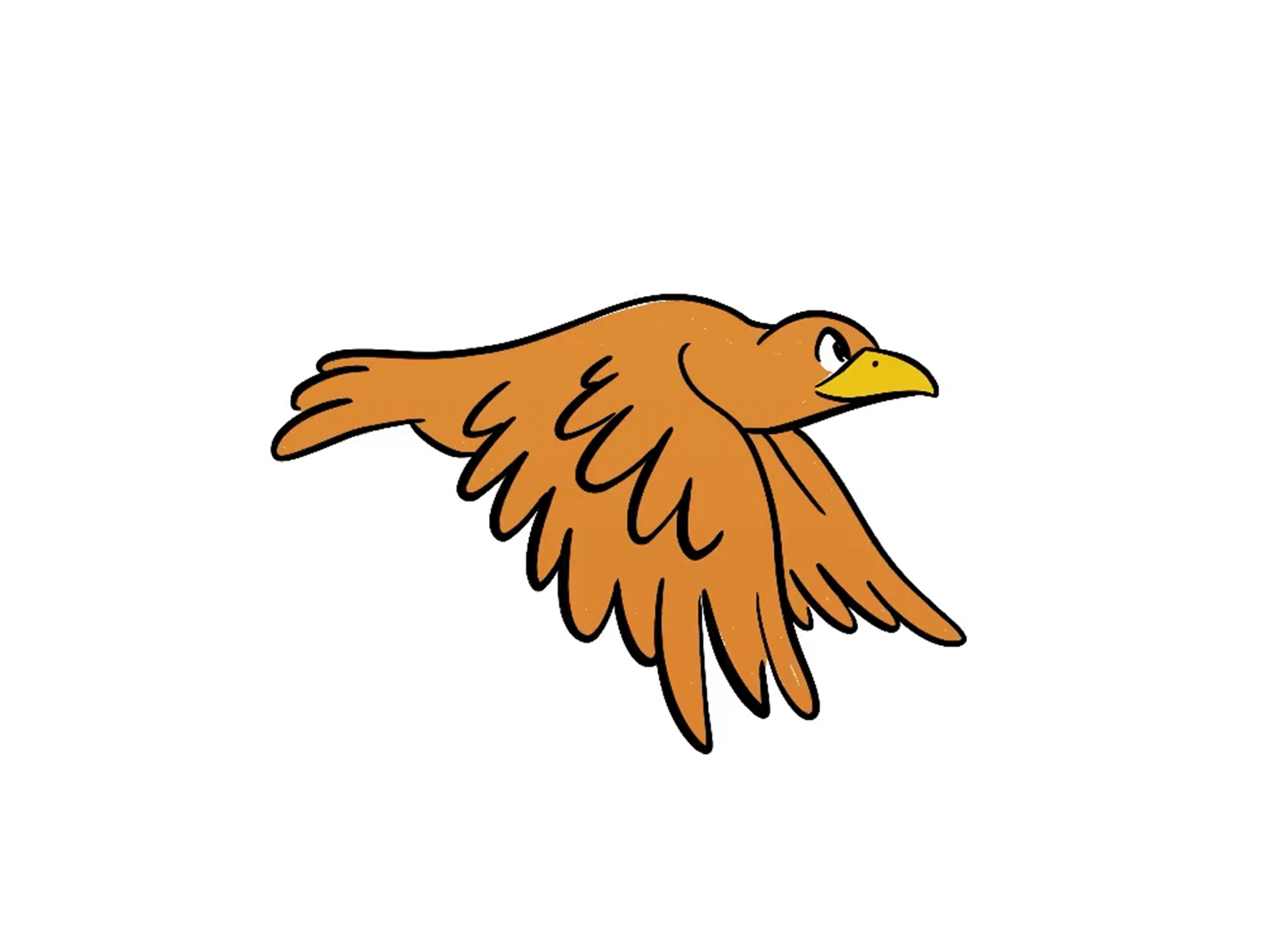 Eagle Animation animation design eagle flight illustration procreate procreateapp wing