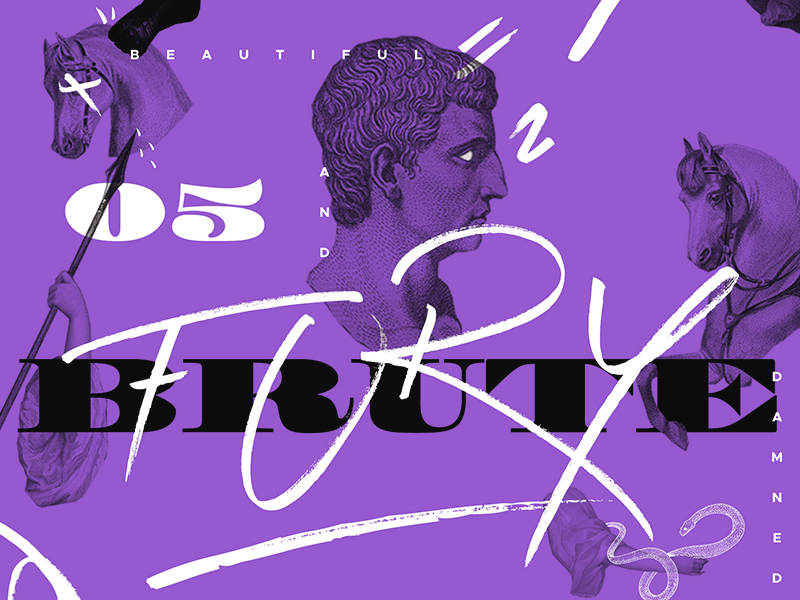 Brutefury dribbble