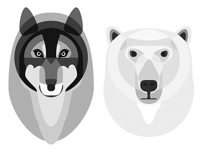 Wolf and Bear first shot gray illustration polar bear vector wolf