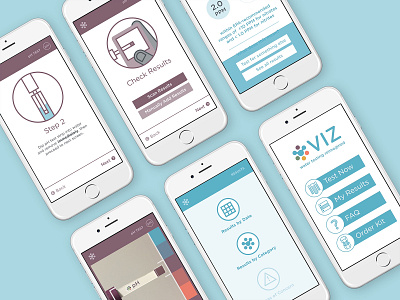 VIZ: Water Testing Reimagined (App)