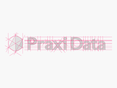 Praxi Data Logo