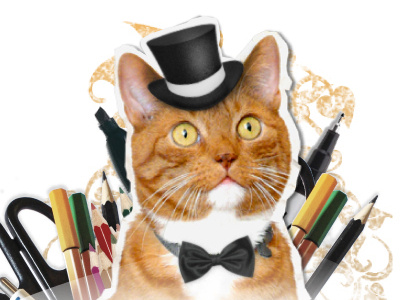 Mrwhiskerton art business cat design fancy pencils