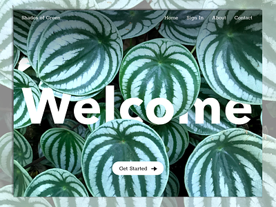 Green Website Design