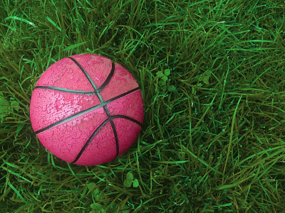 Sign ball basket dribbble photography