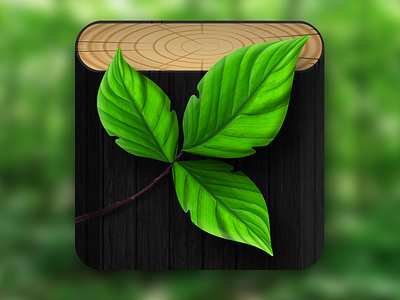 Poison Ivy app icon apple icon ios icon ivy nature plants poison ivy retna