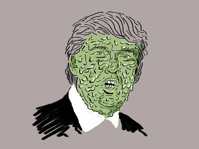 The Donald america donald trump illustration
