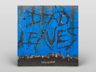 Edit/Erase — Dead Leaves — Album Cover album album art album artwork album cover album cover design music